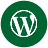 wordpress themes development service